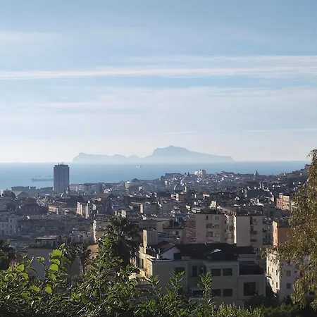 Maioliche E Porcellane *