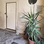 Maioliche E Porcellane