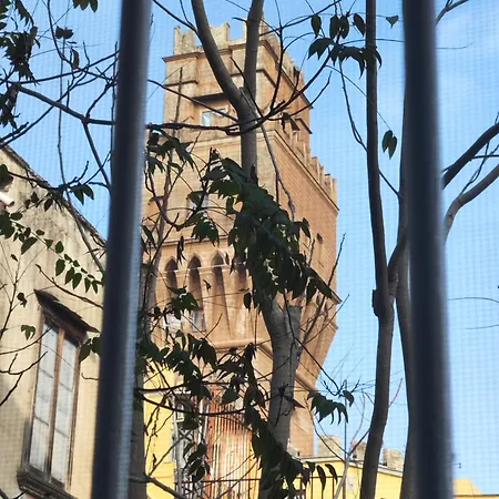 Maioliche E Porcellane نابولي